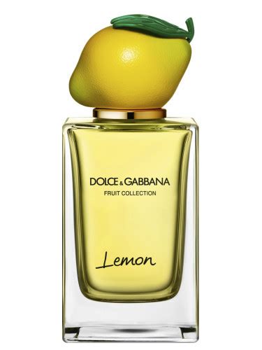 dolce gabbana citrus perfume|dolce and gabbana unisex fragrance.